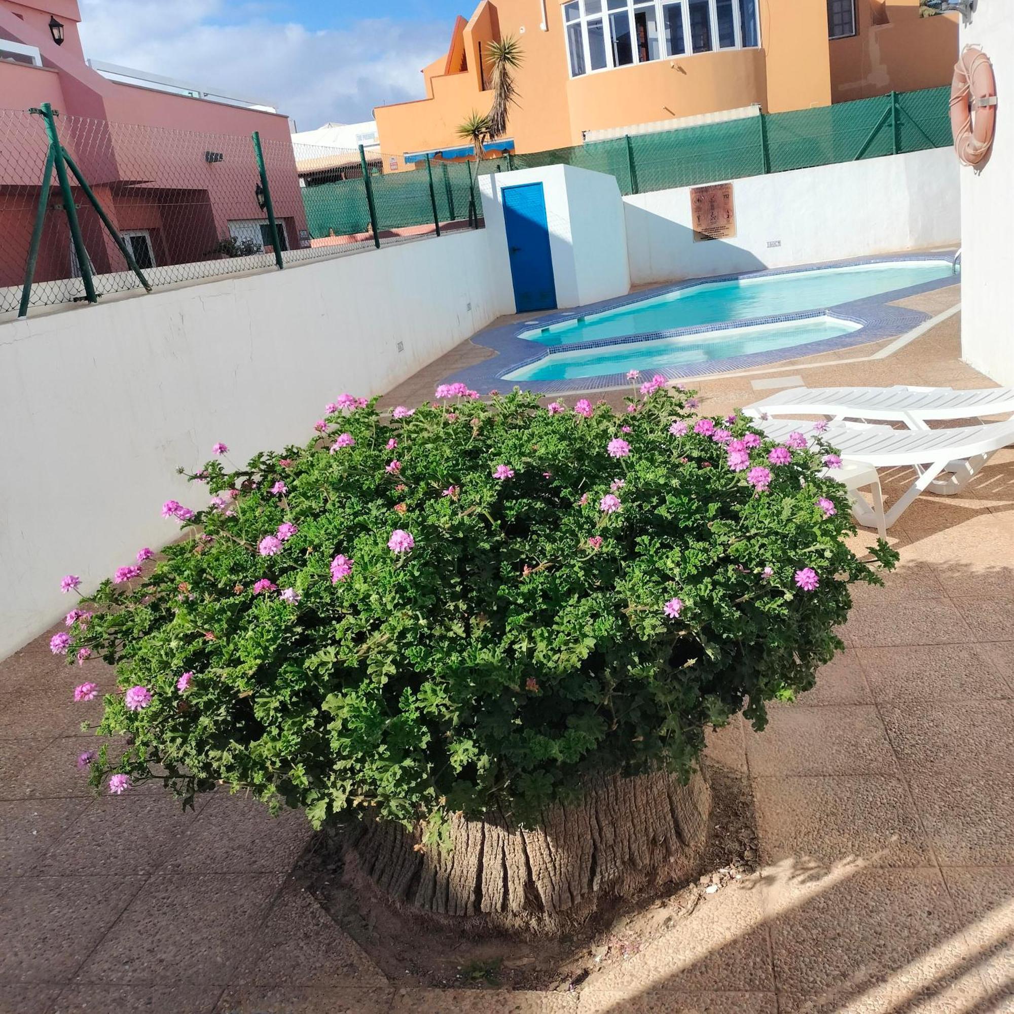 Vivienda Vacacional Alipatri Caleta De Fuste Buitenkant foto
